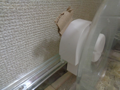 ハビんぐ グラスハーモニー450使用実感: オカメインコとつまみ細工と時々漁港